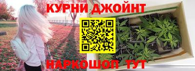 каннабис Камышлов